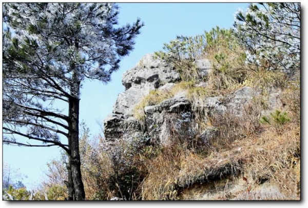 顺昌宝山_顺昌顺昌宝山_顺昌宝山