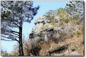顺昌宝山_顺昌顺昌宝山_顺昌宝山