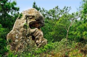 笔猴_美翻了！翔安这香山50亩花海绽放，小伙伴们约起来！