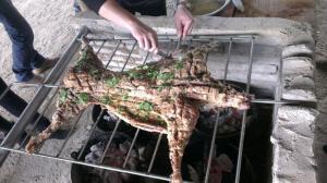 海沧土味佳体验式农场 (3)_海沧土味佳体验式农场_海沧海沧土味佳体验式农场_海沧土味佳体验式农场