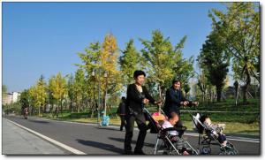 滨湖路 (2)_滨湖路好玩吗_滨湖路怎么去(在哪里)_滨湖路门票多少钱?_滨湖路
