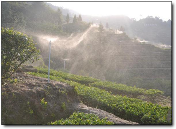 华祥苑生态茶庄园 (5)_华祥苑生态茶庄园