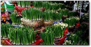 龙?；ㄊ幸惶踅?(3)_漳州花市一条街_龙海花市一条街(福建漳州)_花市一条街