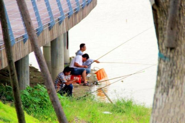 龙文碧湖生态园 (2)_龙文碧湖生态园
