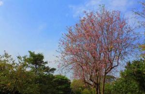芗城胜利公园 (4)_芗城胜利公园