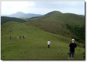 福清大姆山草场 (1)_福清大姆山草场
