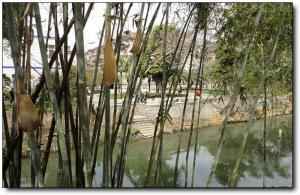 鼓楼白马河公园 (5)_鼓楼白马河公园