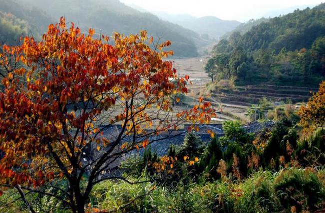 罗源禾山风景区 (3)_罗源禾山风景区