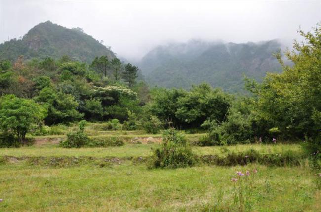 连城廖天山 (4)_连城廖天山