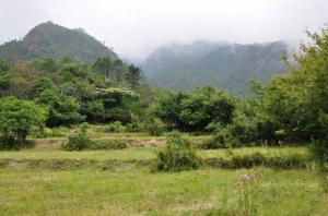 连城廖天山 (4)_连城廖天山