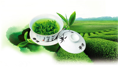 孕妇尽量喝绿茶