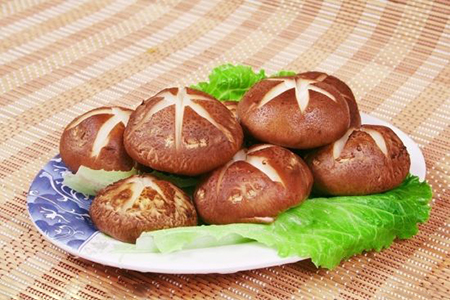 备孕可以吃香菇吗 