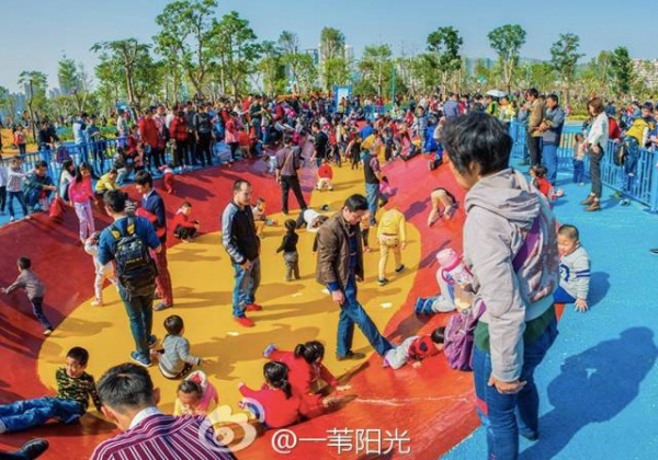 厦门春节赏花攻略在这！被问了几万遍，收藏好一个个玩过去~