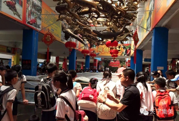 干货来了：集美景点春节游玩指南大全