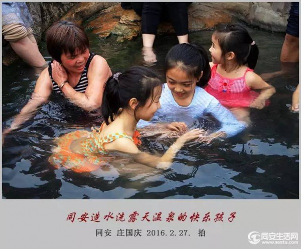 同安造水樱花又开了！?；?、梨花一起来！
