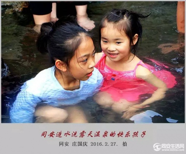 同安造水樱花又开了！?；?、梨花一起来！