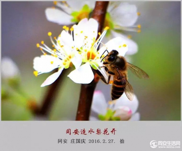 同安造水?；ㄓ挚?！?；ā⒗婊ㄒ黄鹄矗? title=