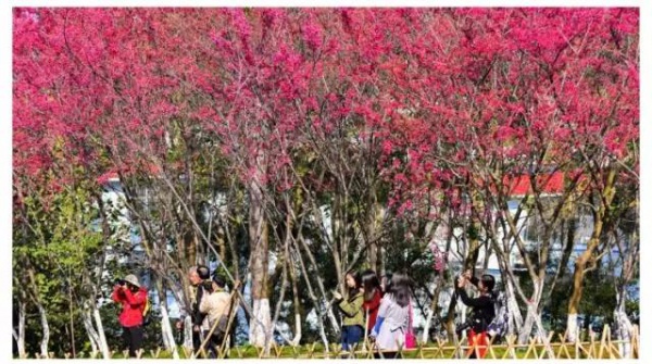 《跑男》要来集美啦！他们竟然要去……