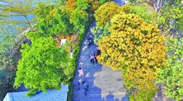 《跑男》要来集美啦！他们竟然要去……