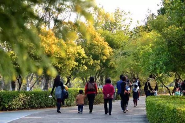 《跑男》要来集美啦！他们竟然要去……
