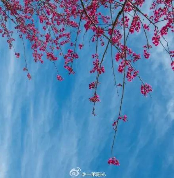 《跑男》要来集美啦！他们竟然要去……