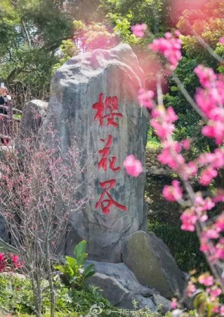 《跑男》要来集美啦！他们竟然要去……