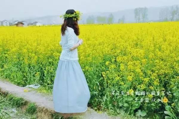 今年春天，厦门这里的?；ㄗ詈每矗∩突ㄖ改蟝etit!附：春季赏花拍照技巧