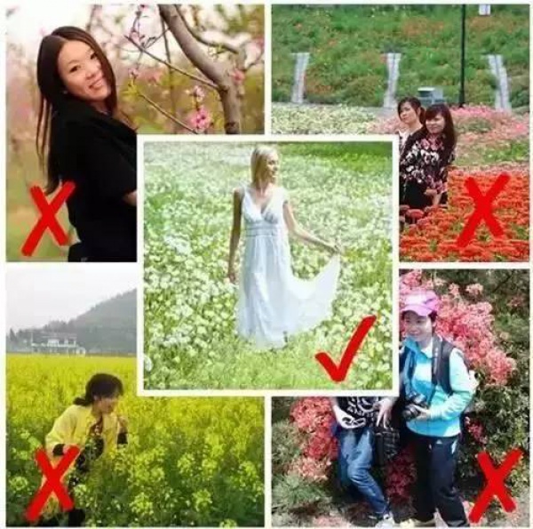 今年春天，厦门这里的?；ㄗ詈每?！赏花指南getit!附：春季赏花拍照技巧