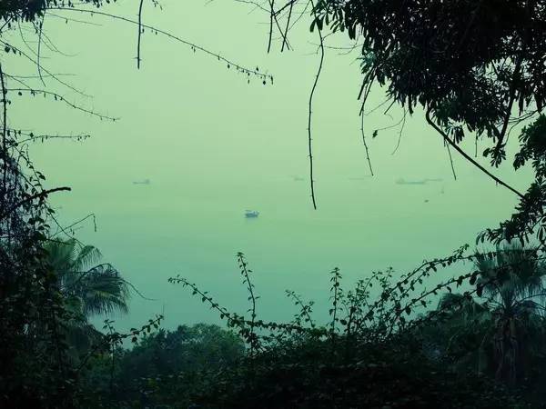 海沧宝珠屿喊你去做岛主了，去吗？