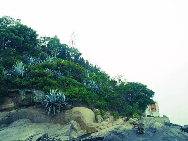 海沧宝珠屿喊你去做岛主了，去吗？