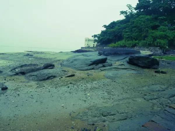 海沧宝珠屿喊你去做岛主了，去吗？