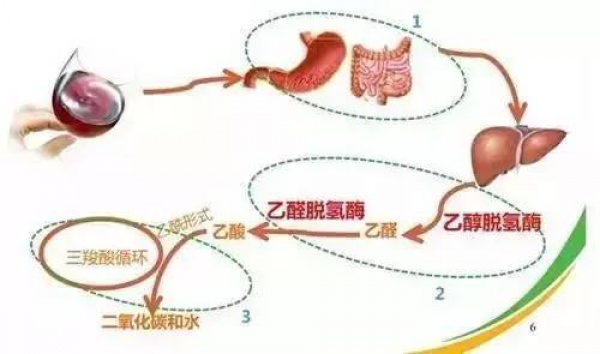 太热！藿香正气水卖断货……可它和这些同吃等于服毒，你知道吗？