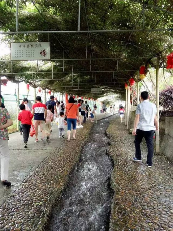 6月18、19日享四重福利，赢大奖—龙岩九溪庐漂流一日游等你来夺冠！（转发立即减免10元）