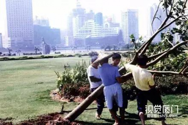 厦门史上最强的三次台风，直接把轮船吹上岸，近千人丧生！