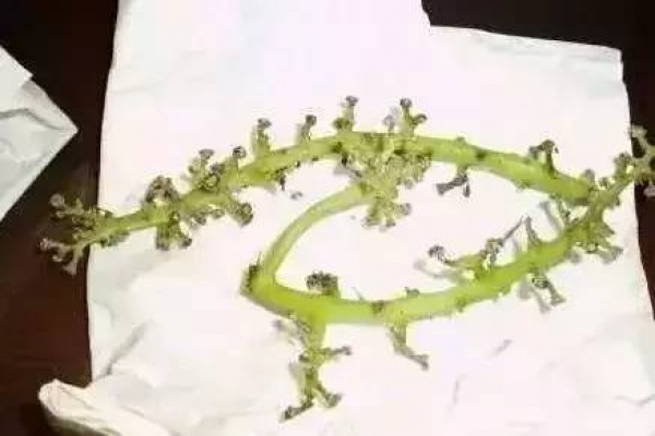 葡萄要这样洗，否则就可能是毒药～