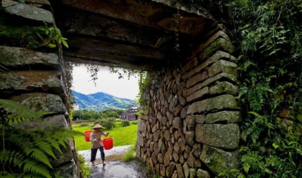 集美周边游丨这个“明朝荔枝”火了600年，落在这个古镇！