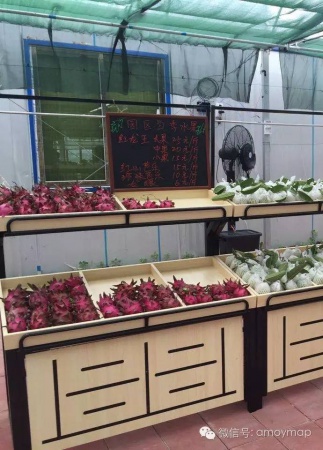 翔安内厝有个水果观光园，你知道吗？
