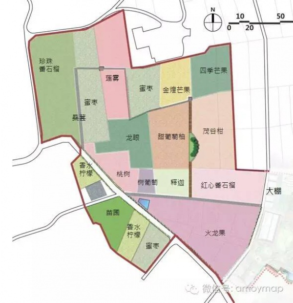 翔安内厝有个水果观光园，你知道吗？