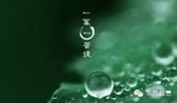跑什么，前面也在下雨（经典）