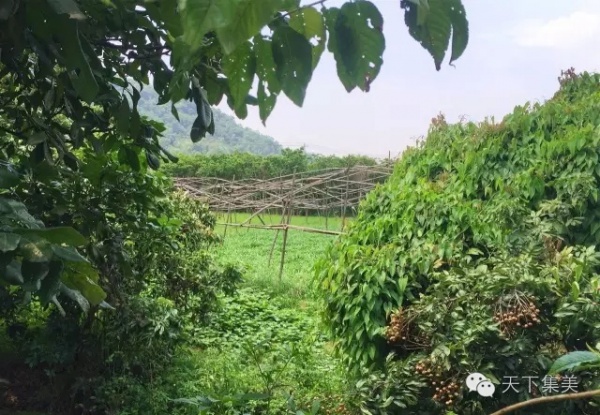 谁说后溪只能学车？多的是你不知道的事！