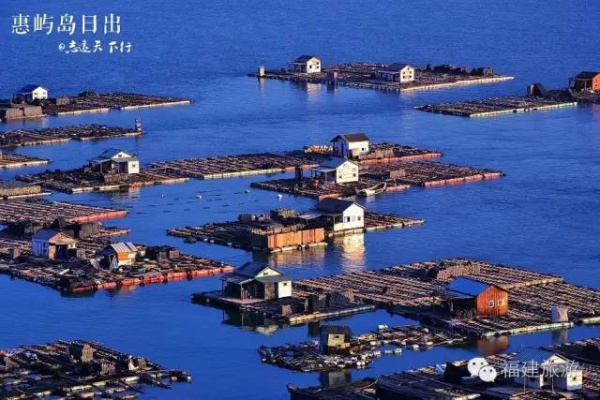 集美周边游丨这些绝美露营地，我要挨个浪过去，你来吗？