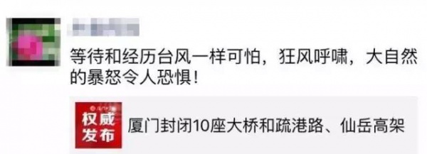30张图片告诉你，前几天在厦门登陆的台风到底有多牛掰！