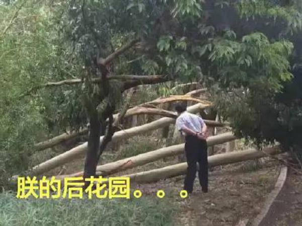 30张图片告诉你，前几天在厦门登陆的台风到底有多牛掰！