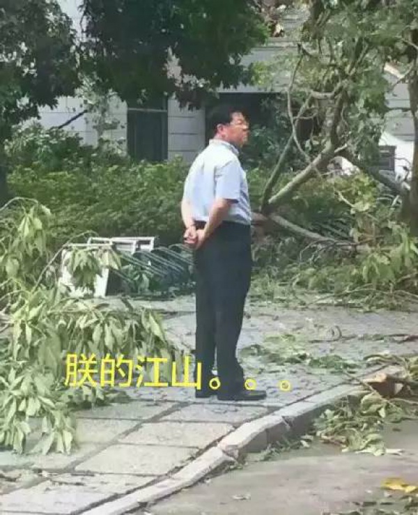 30张图片告诉你，前几天在厦门登陆的台风到底有多牛掰！