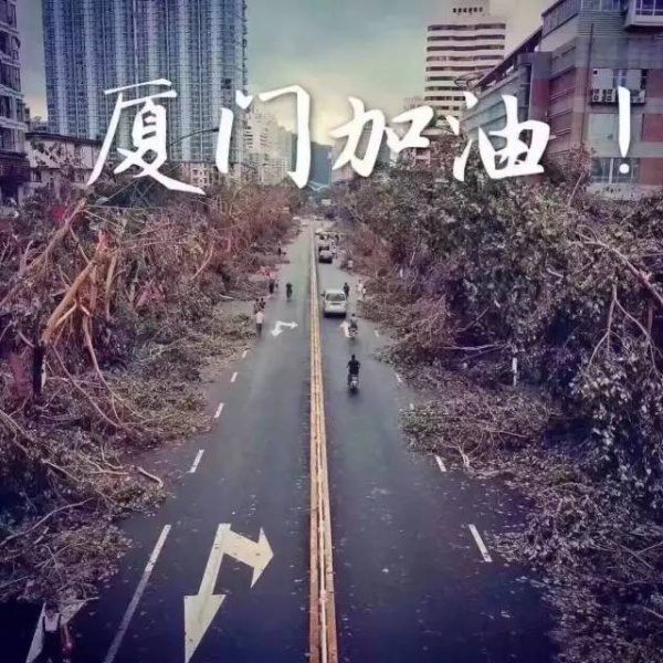 一次台风，终于看清了厦门人的真面目！