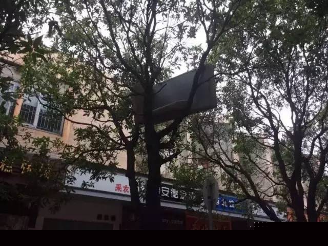 一次台风，终于看清了厦门人的真面目！