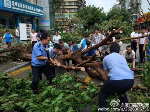 一次台风，终于看清了厦门人的真面目！