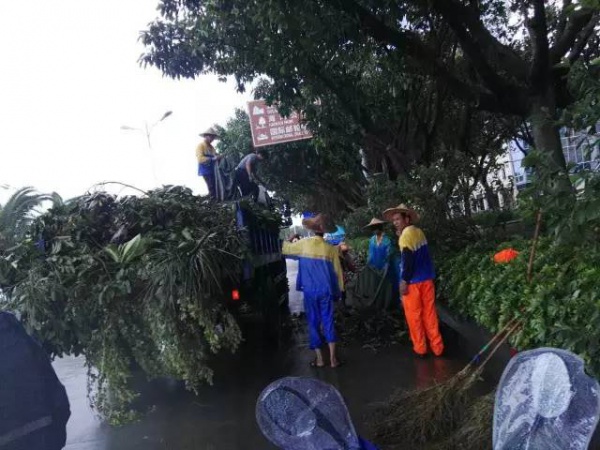 一次台风，终于看清了厦门人的真面目！