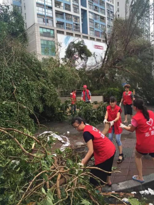 一次台风，终于看清了厦门人的真面目！