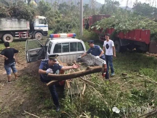 惨遭最强台风蹂躏，厦门人居然还笑得出来